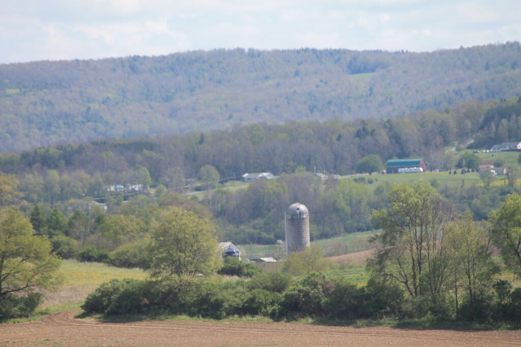 Photo: Hills and Dirt