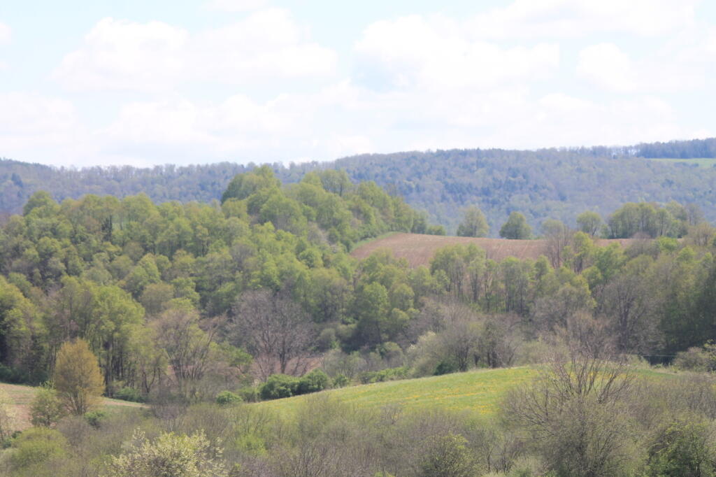 Photo: Hills