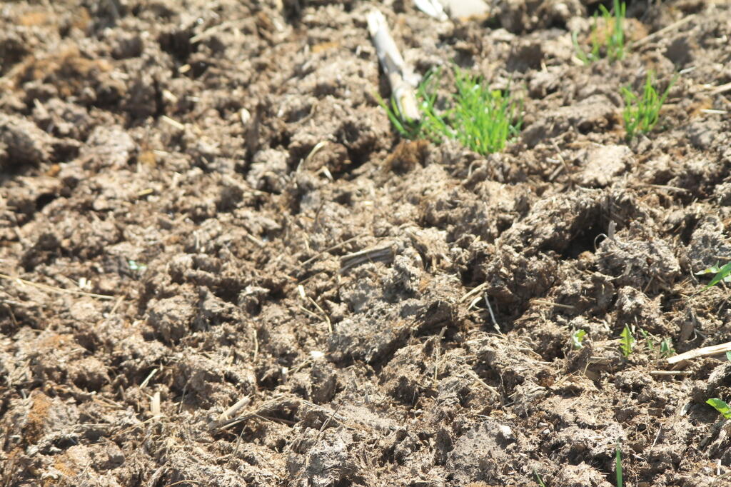 Photo: Farm Dirt