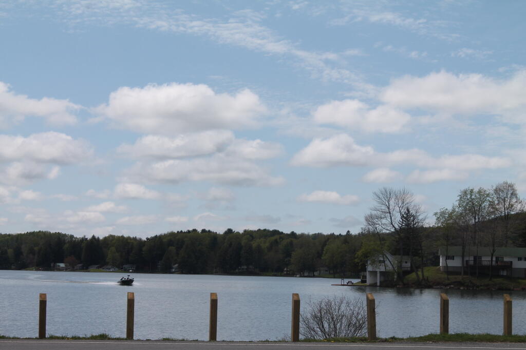 Photo: From the Causeway