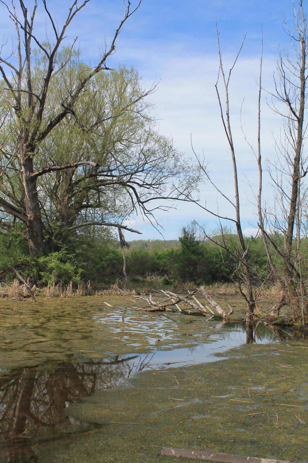 Photo: Untitled 4
