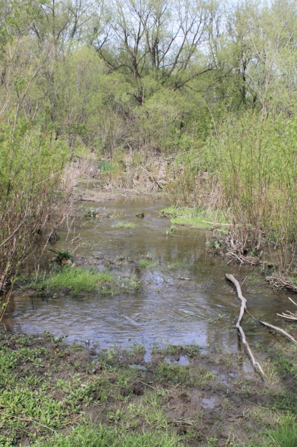 Photo: Tributary of Chenango River