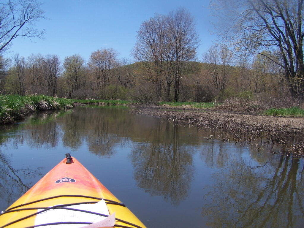 Photo: Along One of Twists in Creek Photo: Along One of Twists in Creek