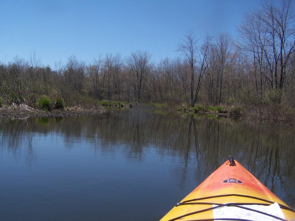 Photo: Along the Swamp Photo: Along the Swamp
