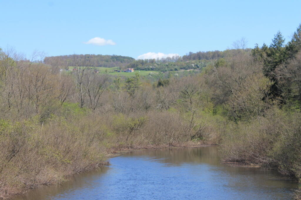 Photo: Sangerfield River Photo: Sangerfield River