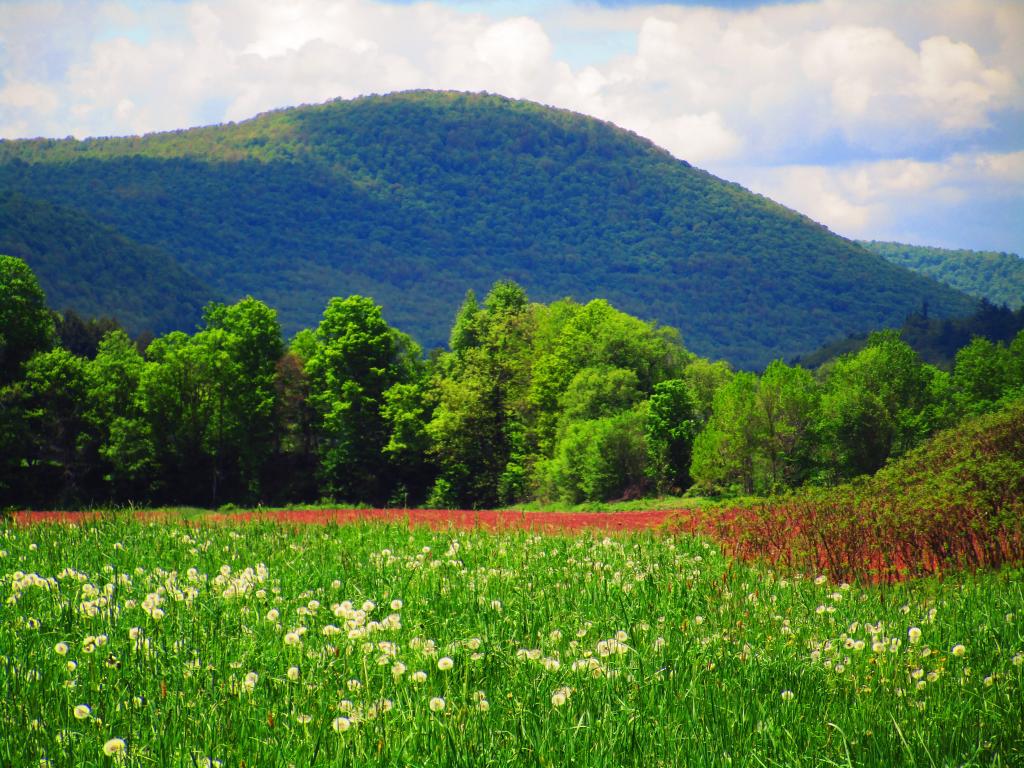 Photo: Spring