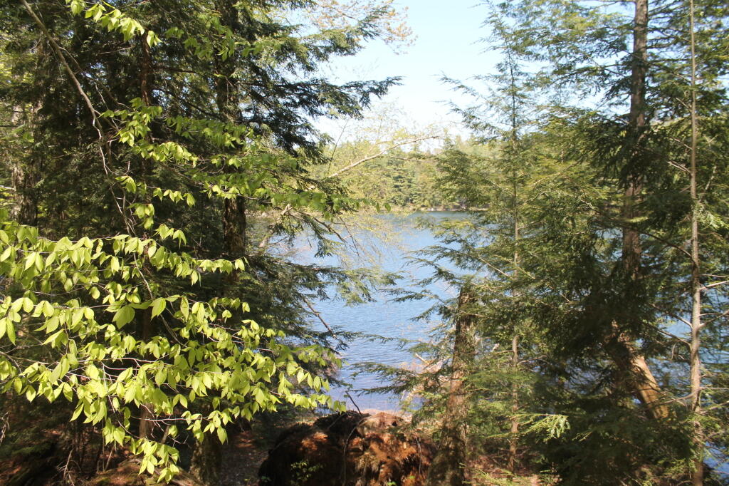 Photo: Middle Lake