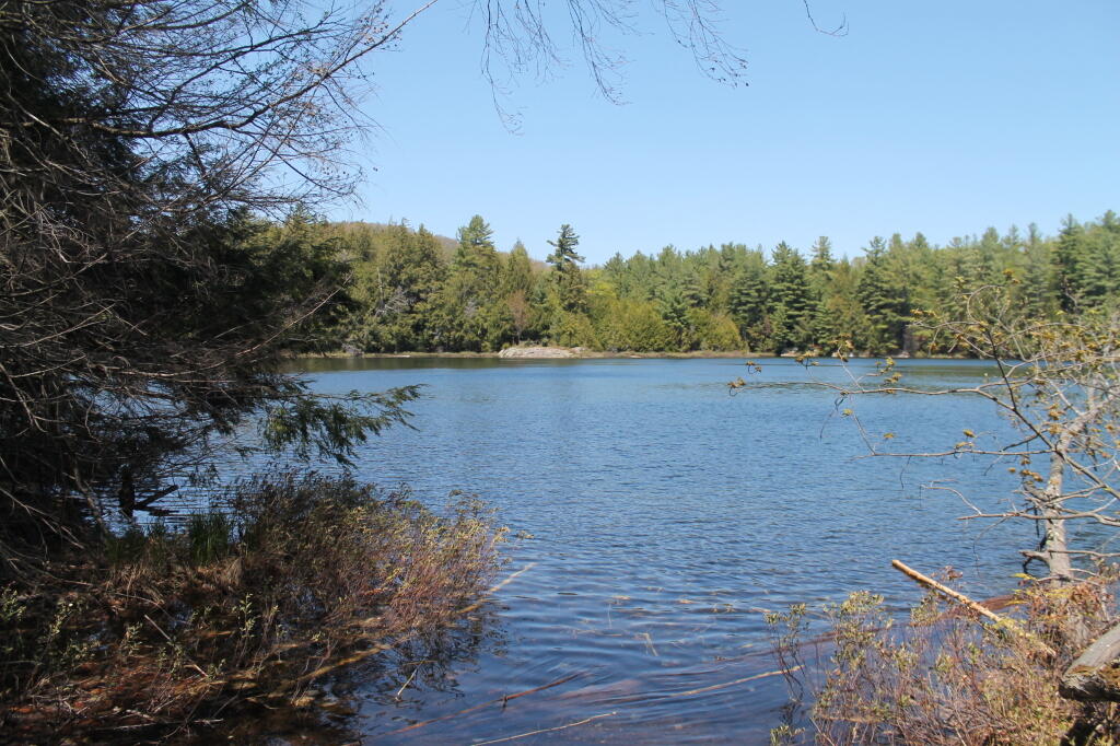 Photo: Middle Lake 2