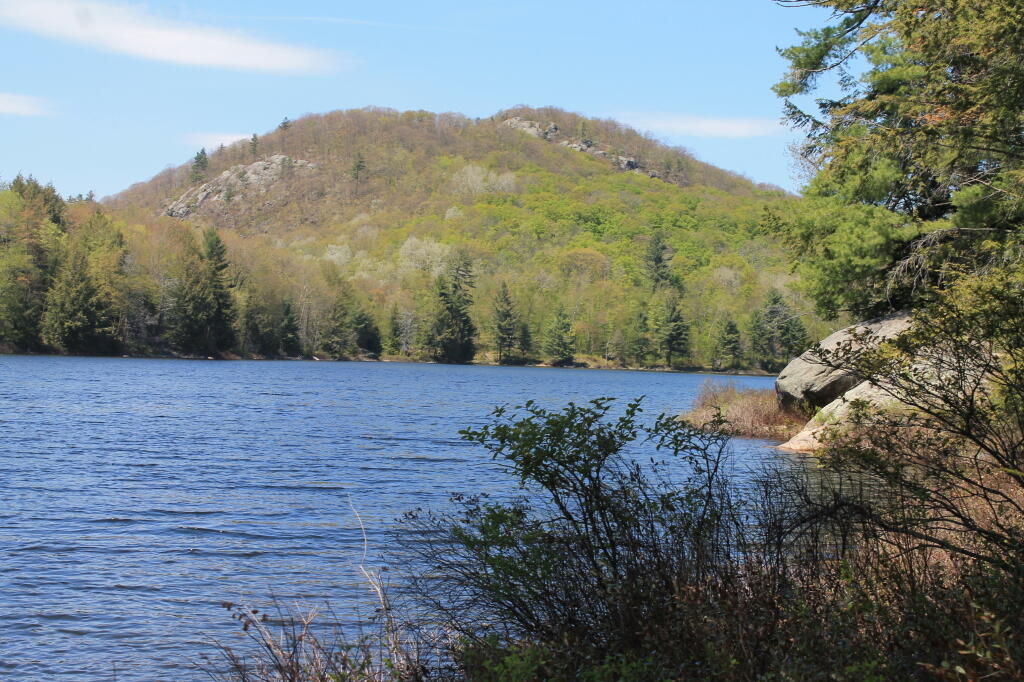 Photo: Huckleberry Mountain