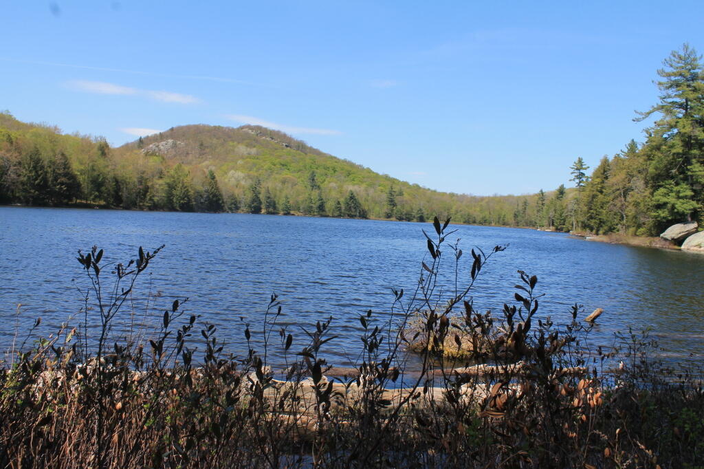 Photo: East Across Lake