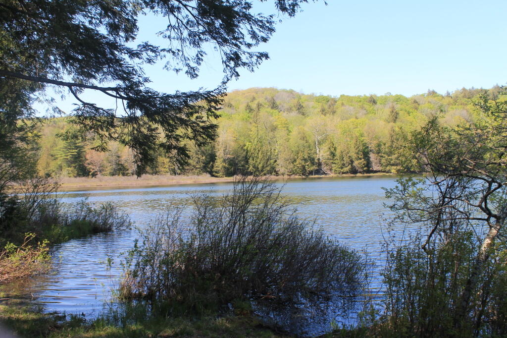 Photo: Bennett Lake 2