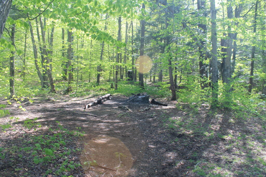 Photo: Bennett Lake Campsite Photo: Bennett Lake Campsite