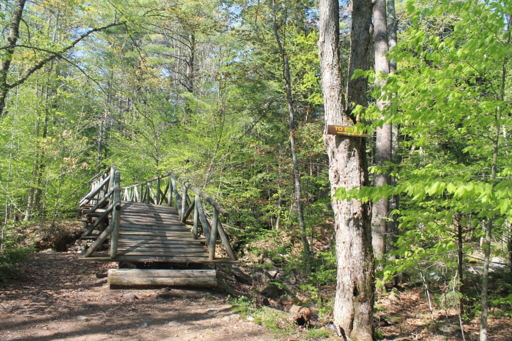 Photo: Bridge Across Tenant Creek