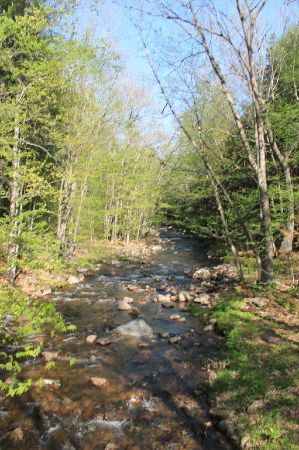 Photo: Lower Tenant Creek