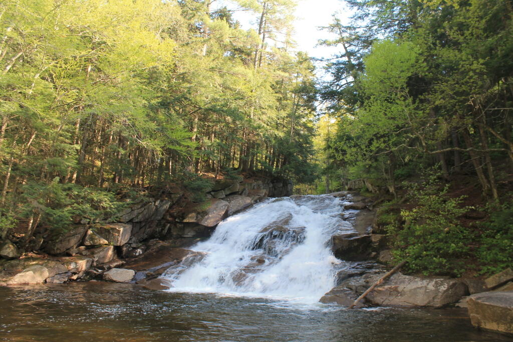 Photo: Falls and Pool