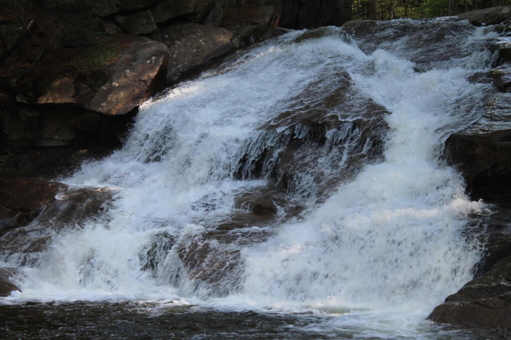 Photo: Splash