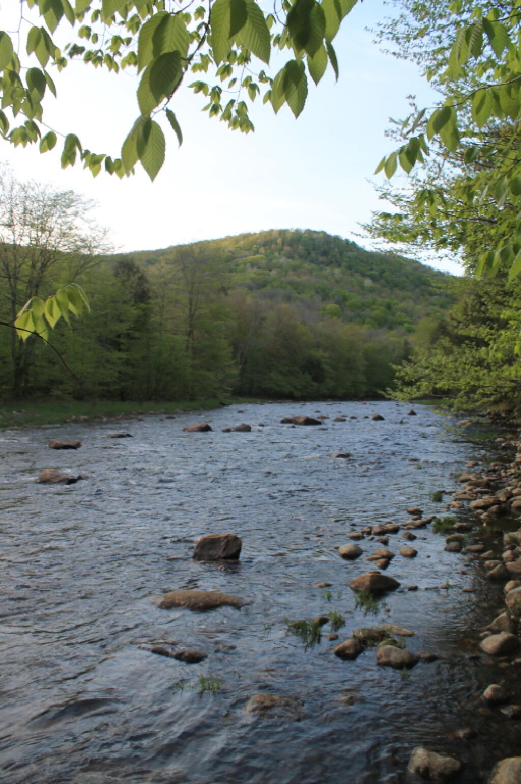 Photo: East Stony Creek
