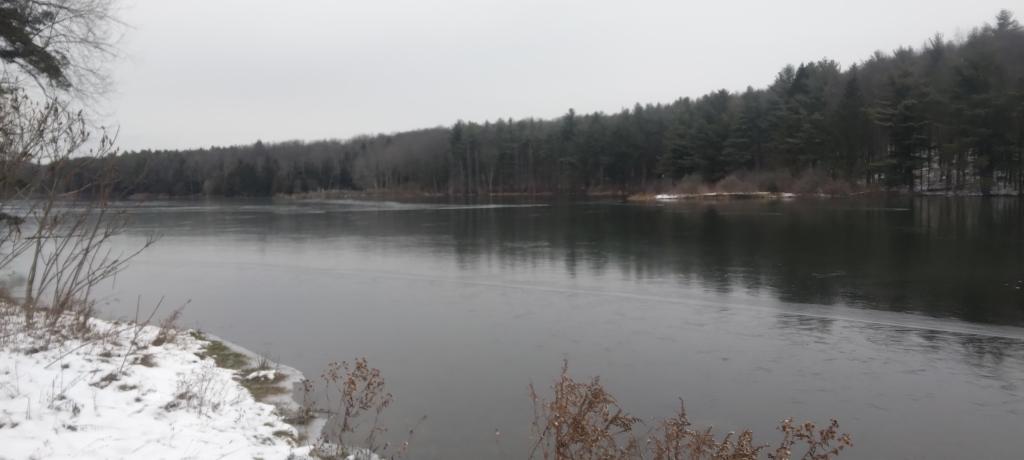 Photo: Cool gray day