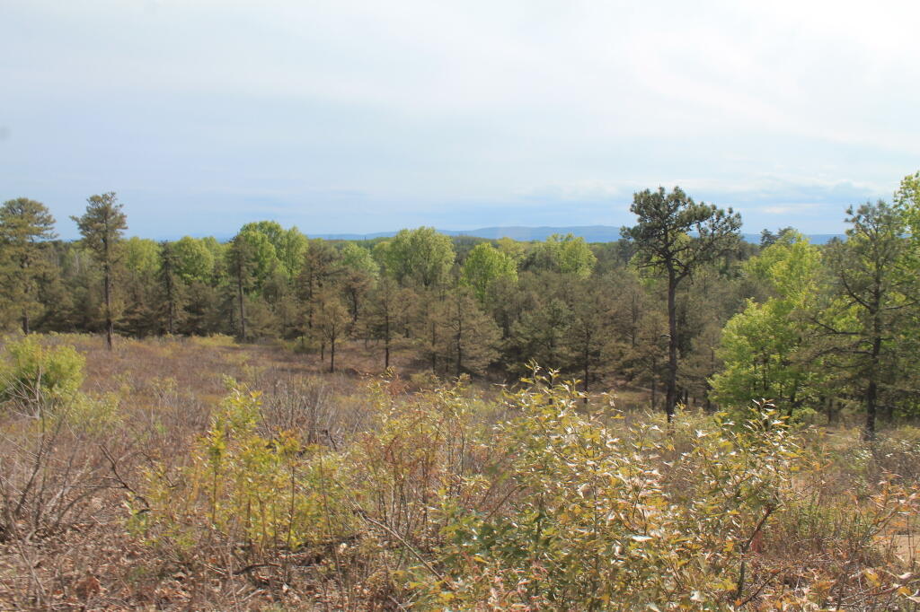 Photo: View from Overlook Dune