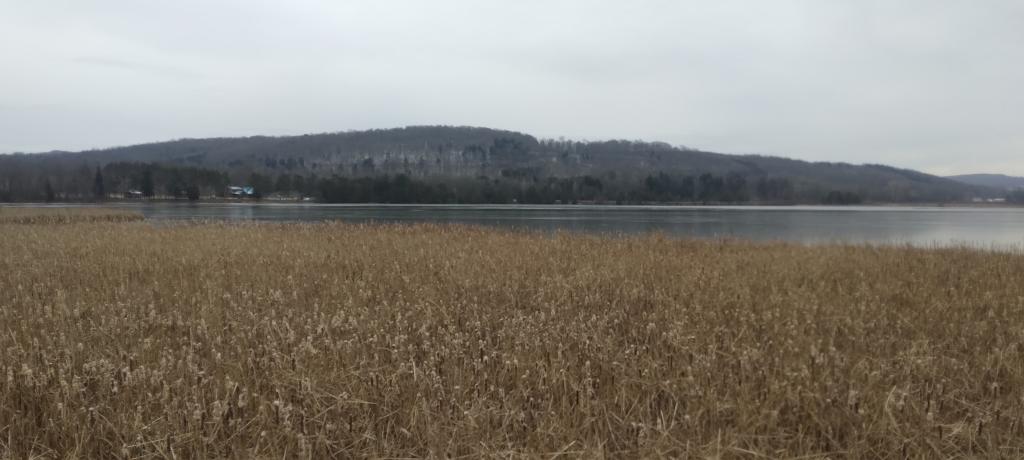 Photo: Woodman Pond