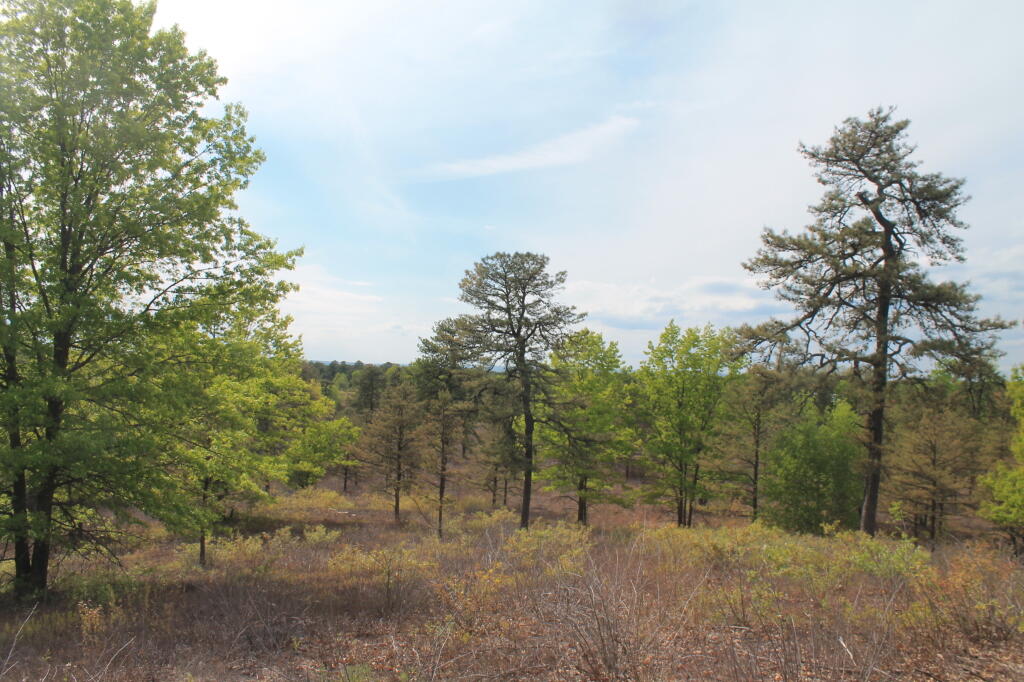 Photo: North-West from Overlook Dune
