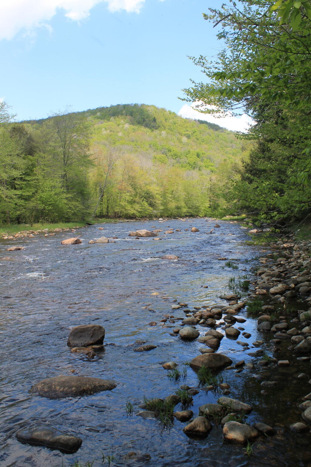 Photo: Stony Creek