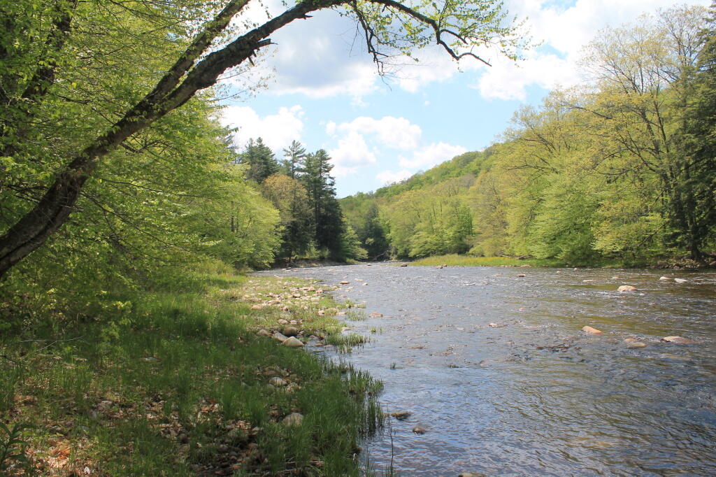 Photo: Stoney Creek South