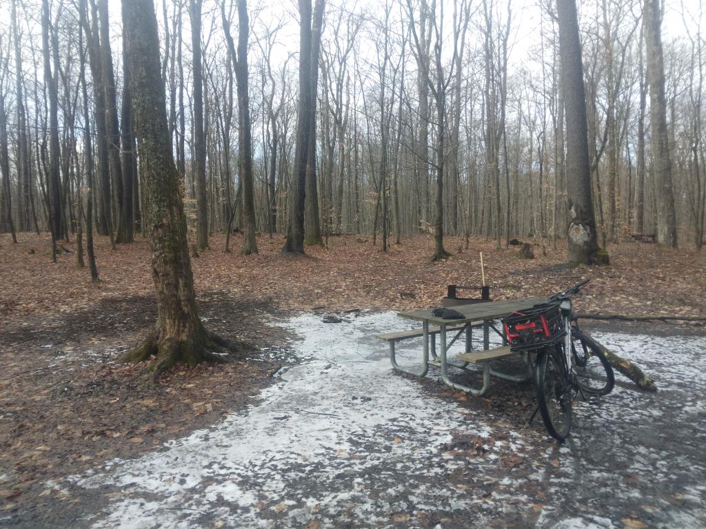 Photo: Nobody camping at Cherry Ridge Camping Area this year for Christmas