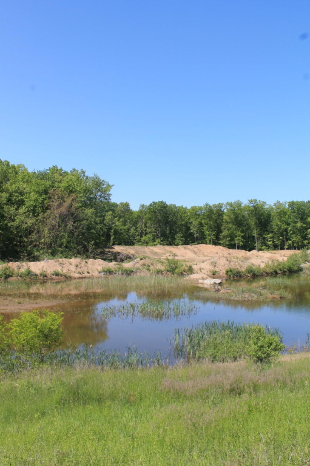 Photo: Callahan's Sand Pit Restoration