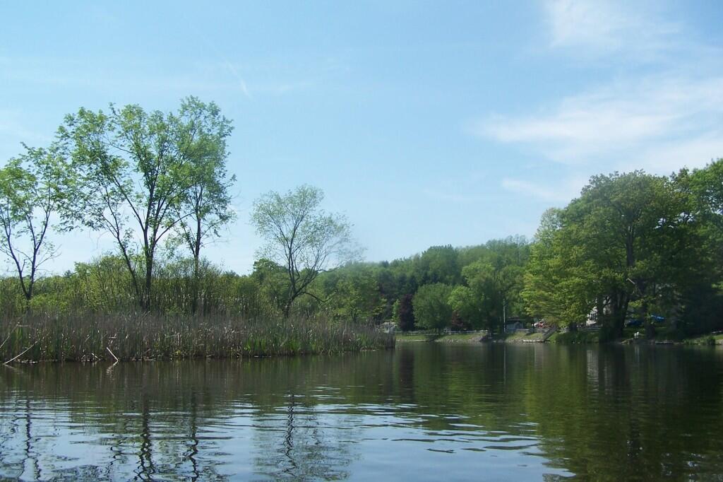 Photo: Bend in Fish Creek