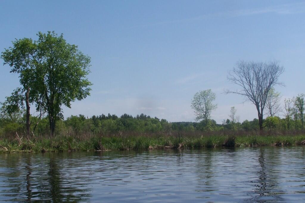 Photo: Along Fish Creek