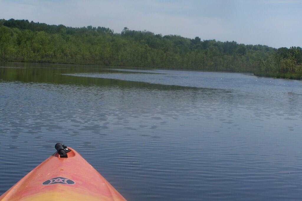 Photo: Along the Creek