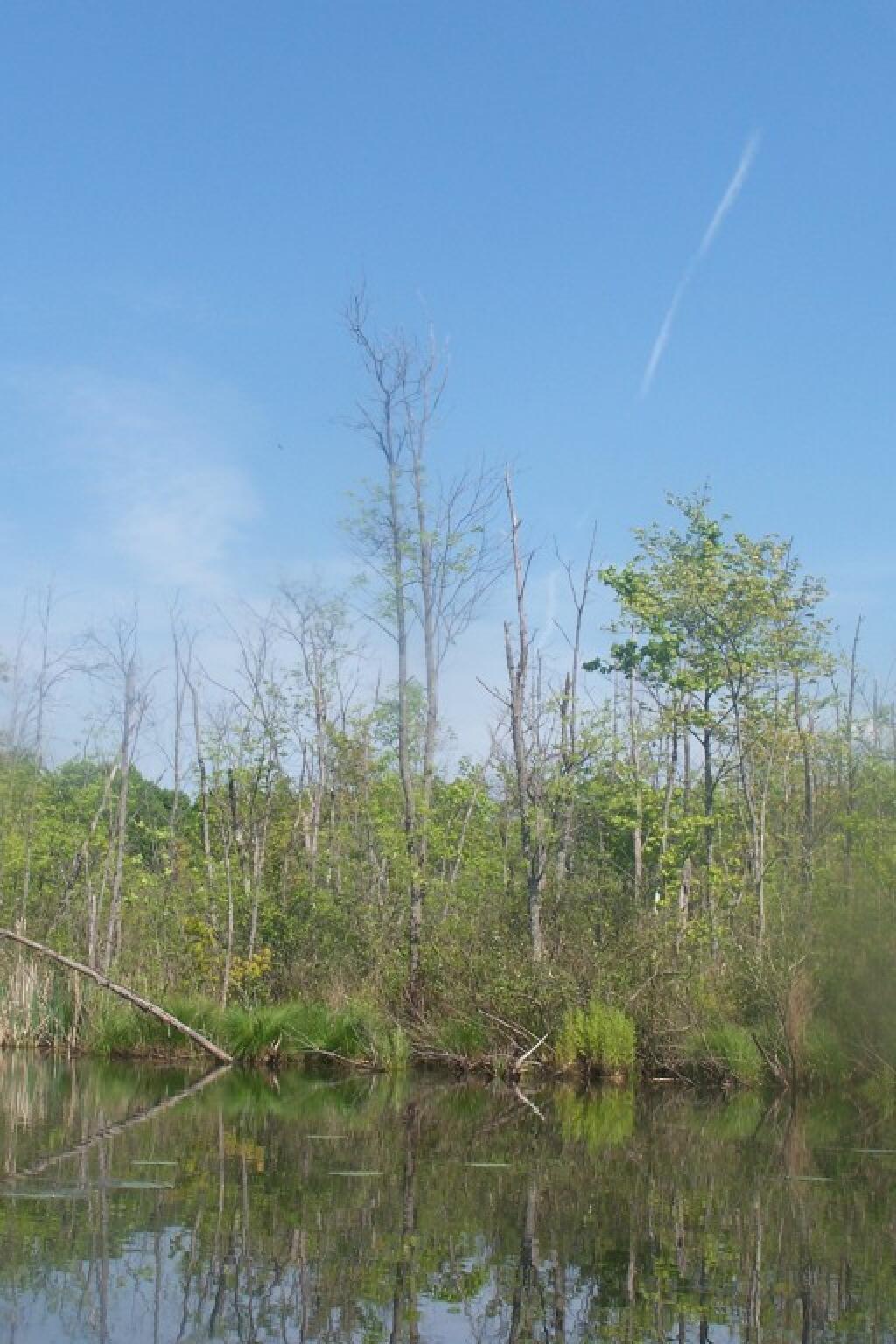 Photo: Along the River