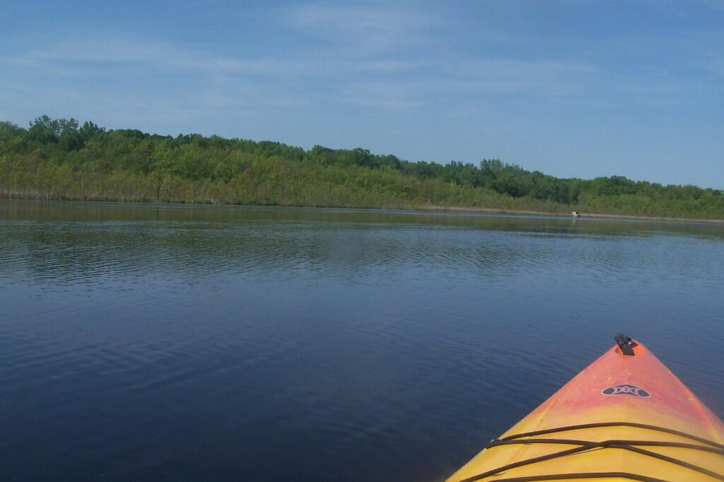 Photo: Paddling the River