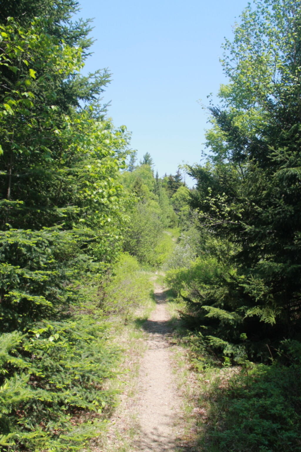 Photo: Lost Ponds Trail