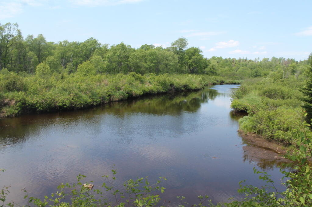 Photo: Moose River 2