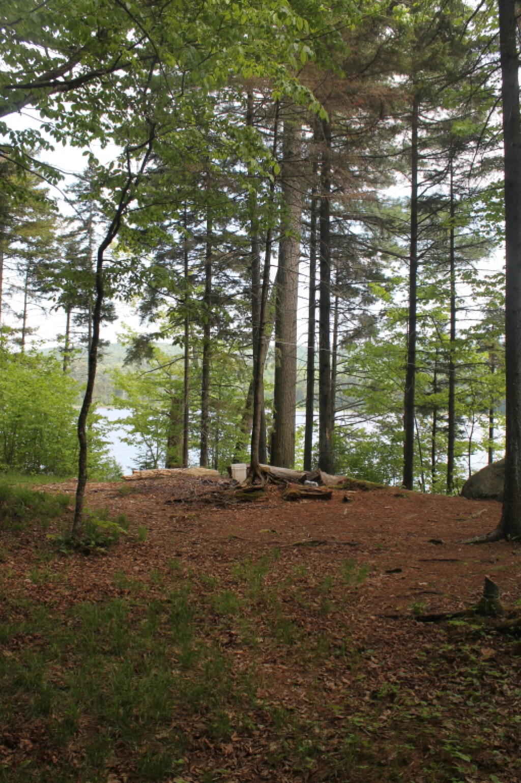Photo: Beaver Lake Campsite