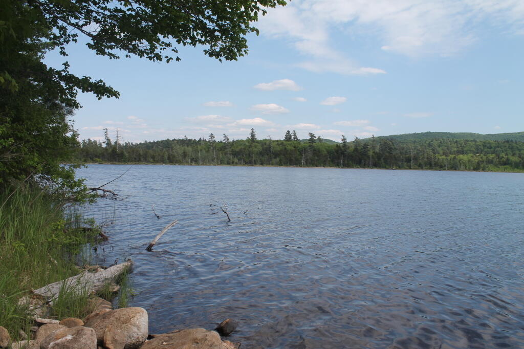 Photo: Beaver Lake