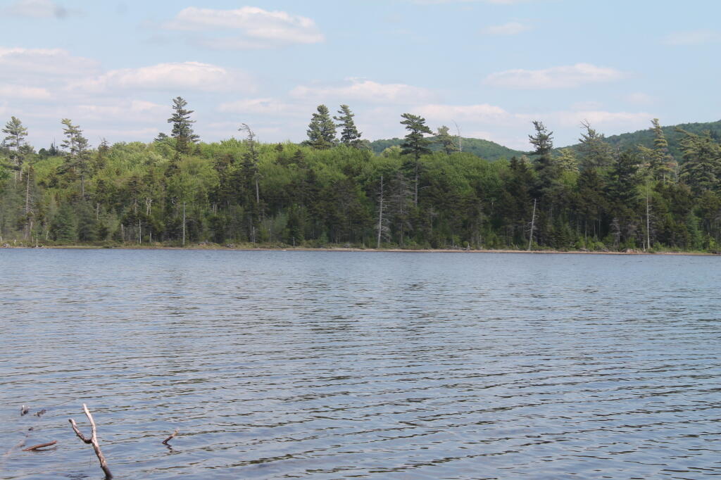 Photo: Beaver Lake