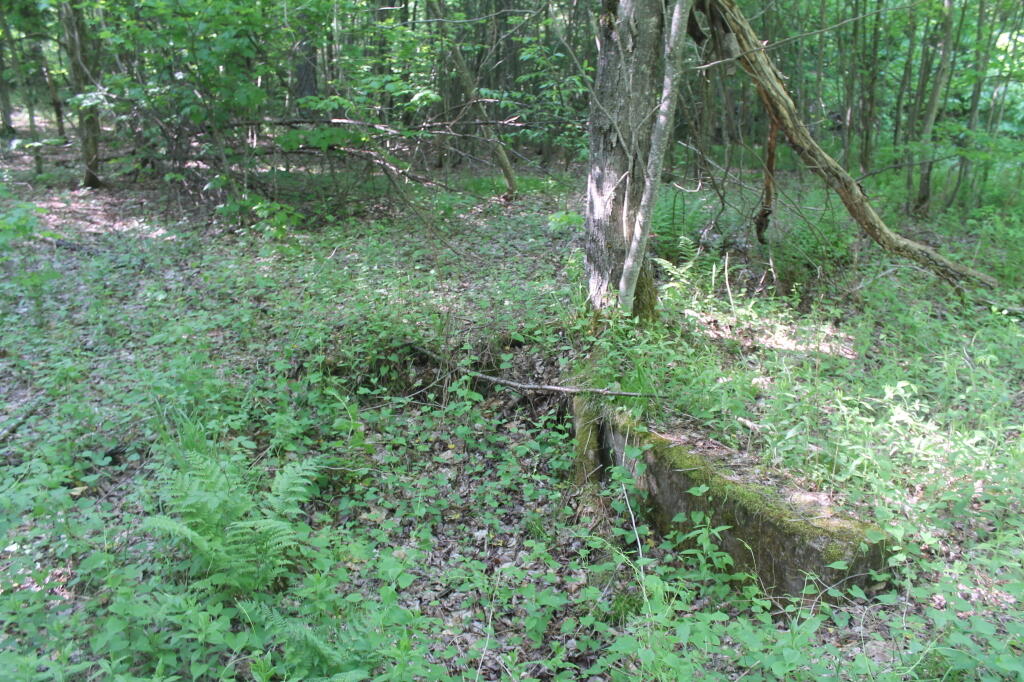 Photo: Abandoned Foundation of Former Sawmill