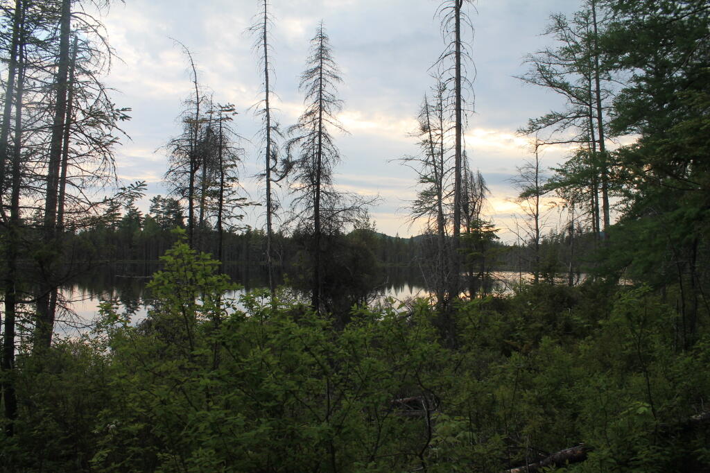 Photo: Helldiver Pond