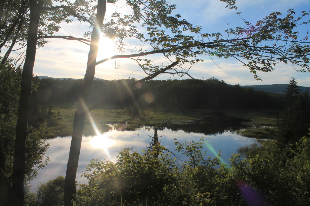 Photo: Shep Meadow Sparkles