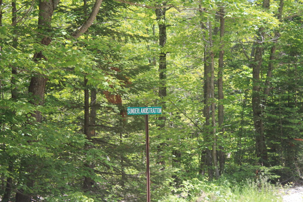 Photo: Sunderland - Arlington Town Line Photo: Sunderland - Arlington Town Line