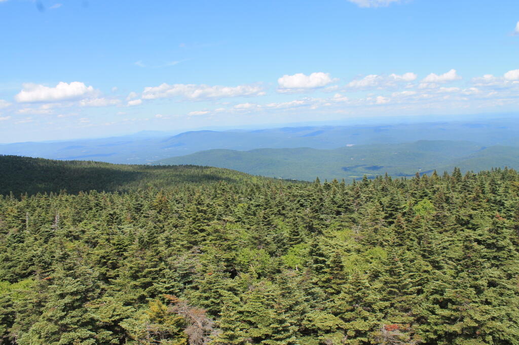 Photo: South East