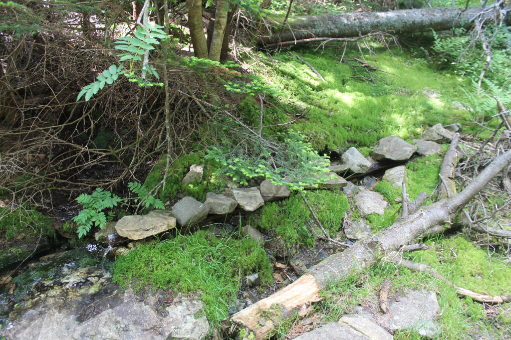 Photo: Spring Under the Rocks