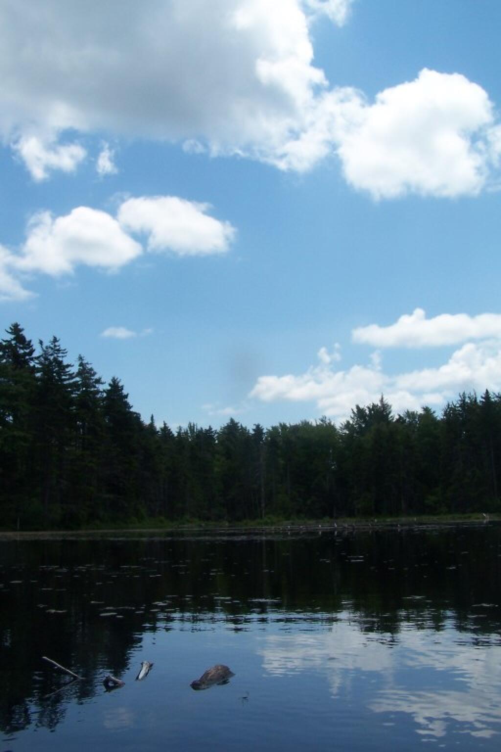 Photo: Clouds Above