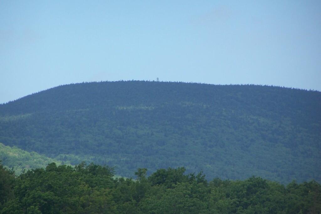 Photo: Fire Tower