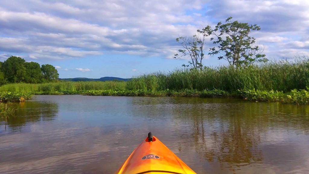 Photo: Paddling on Catharine Creek Marsh