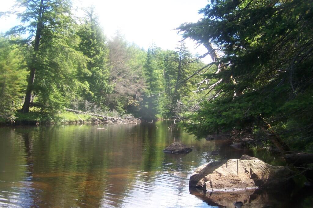 Photo: Pool Below Rapids