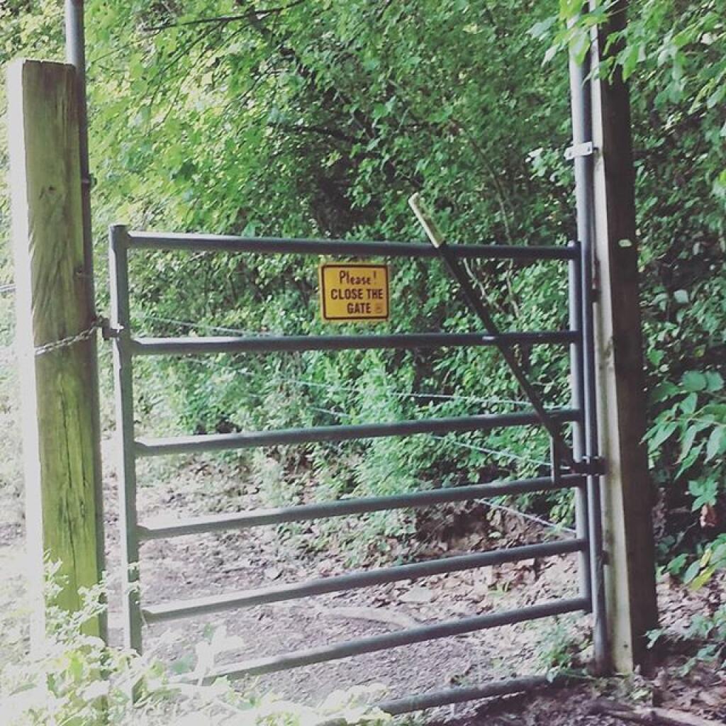 Photo: Be careful where you step in a gated community.